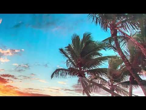 Sonnenaufgang auf einer tropischen Insel – Glaswandkunst