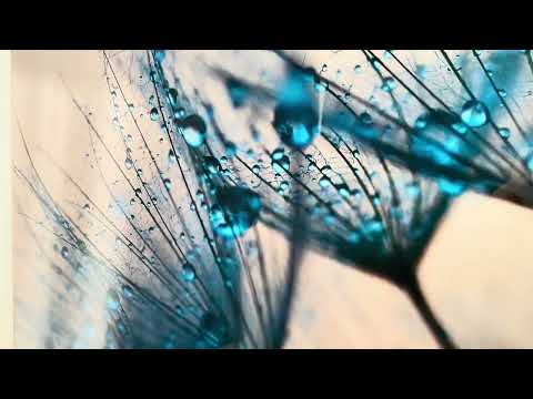 Blue Dandelion Flower Glass Wall Art