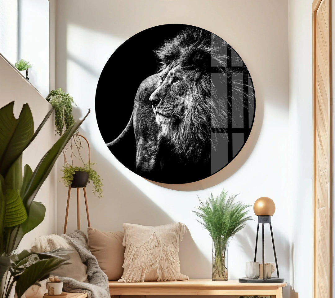 Black and white animal portrait of a lion with detailed fur and bold lighting.