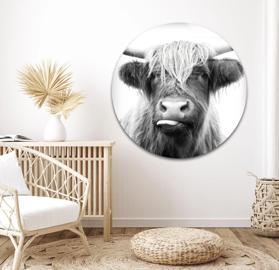 Minimalist monochrome glass wall art showing a Highland cow up close with detailed fur texture.