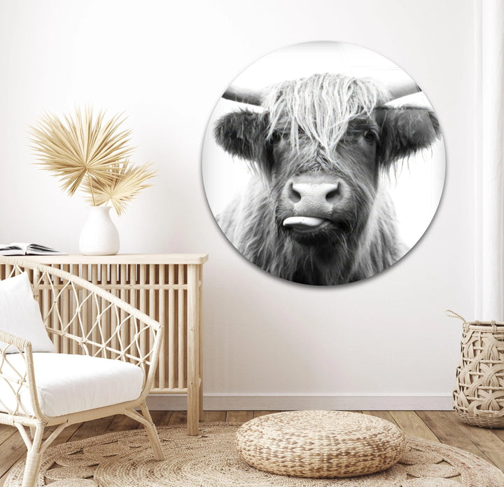 Minimalist monochrome glass wall art showing a Highland cow up close with detailed fur texture.