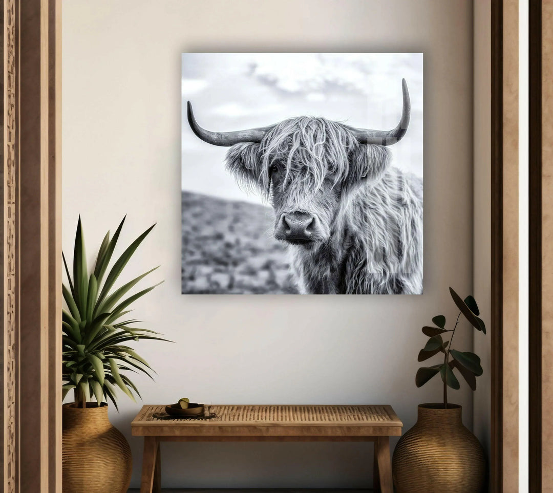 Rustic Highland cow artwork with textured fur and curved horns in minimalist monochrome style.