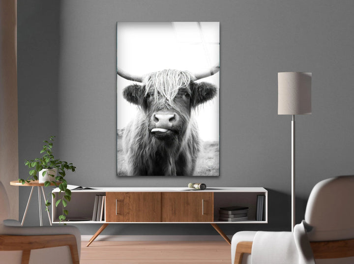 Modern black and white Highland cow design on glass highlighting its iconic shaggy appearance.