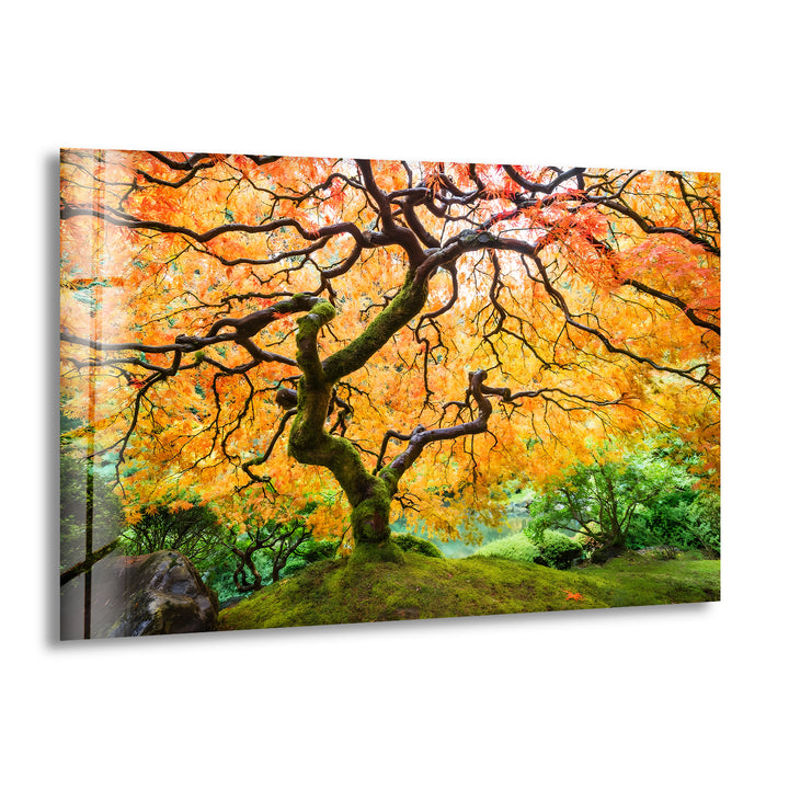 Golden Canopy Elegance – Japanische Ahorn-Glaswandkunst