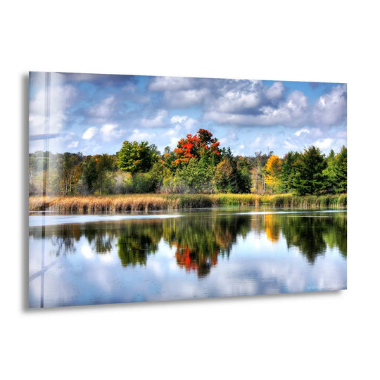 Reflected in the tranquil lake, the focal point tree in vivid autumn colors is the centerpiece of this scenic forest hanging wall art print.