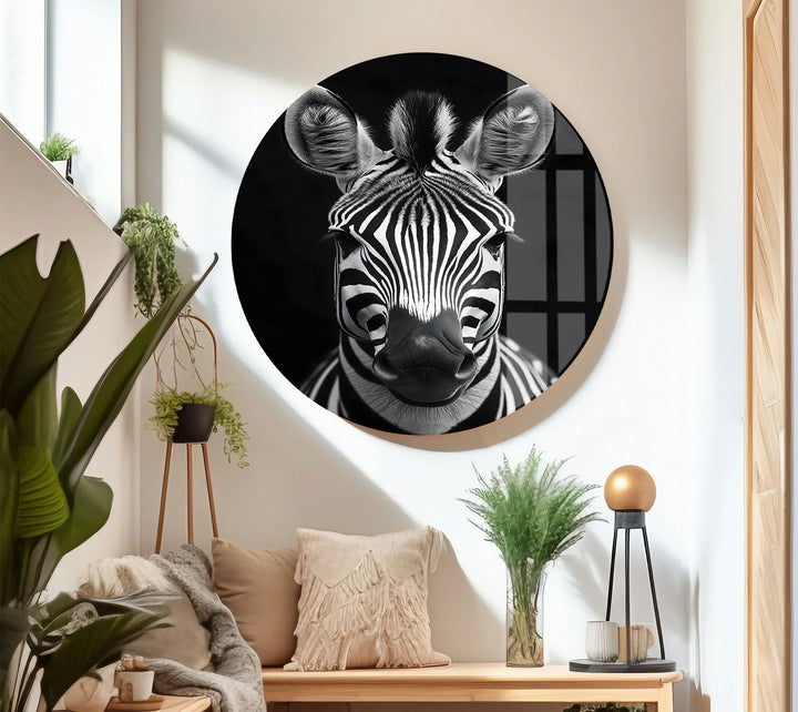 Artistic black and white zebra portrait on glass with centered composition and dramatic lighting.