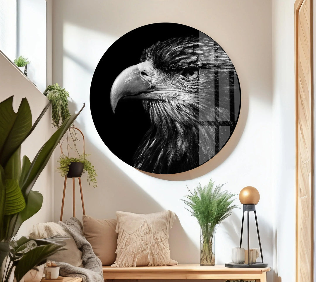 Detailed raptor portrait featuring strong beak and piercing eye on tempered glass.