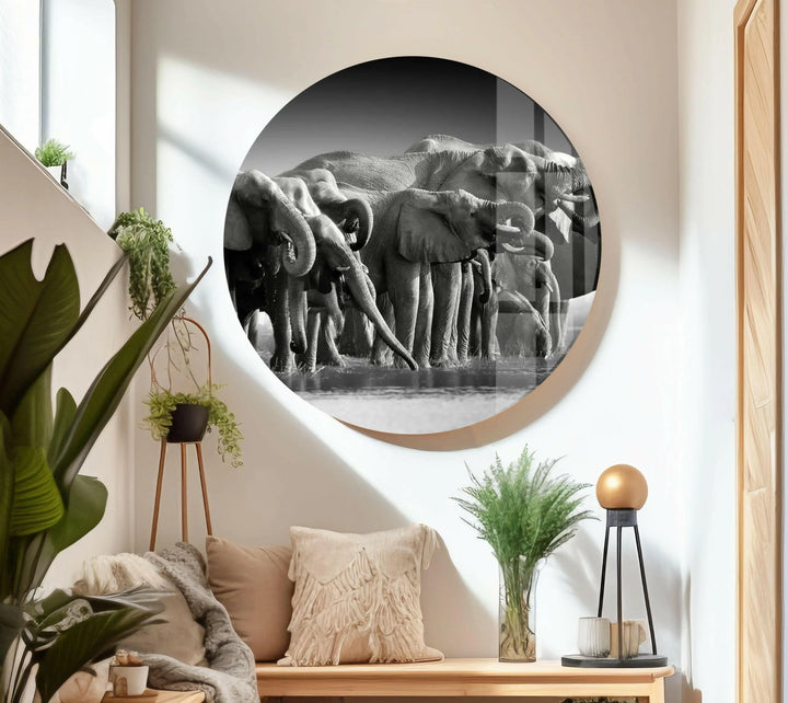 Black and white nature scene printed on glass with elephants lined up at a watering hole.