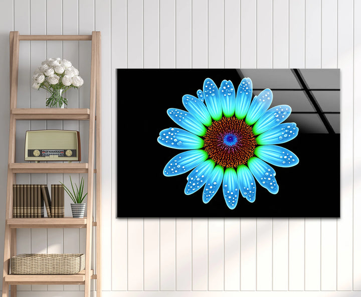 Blue Daisy Flower Wall Art – Luminous Glass Print on Black Background with Water Droplet Detail for Modern Interiors - MyPhotoStation