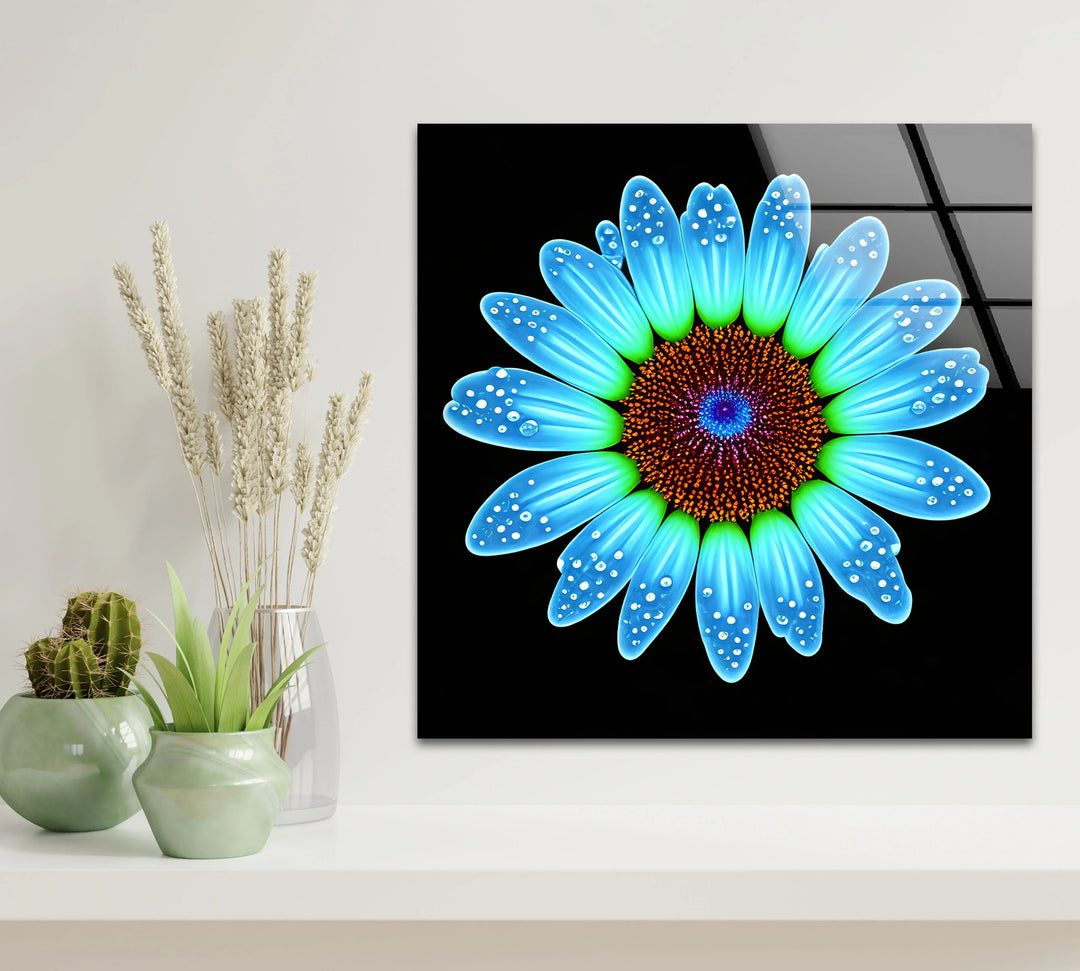 Blue Daisy Flower Wall Art – Luminous Glass Print on Black Background with Water Droplet Detail for Modern Interiors - MyPhotoStation