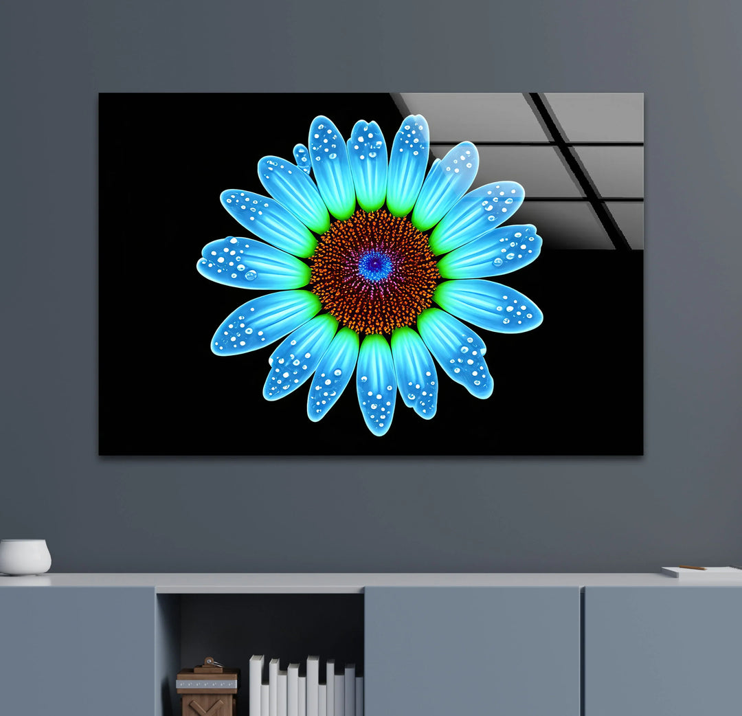 Blue Daisy Flower Wall Art – Luminous Glass Print on Black Background with Water Droplet Detail for Modern Interiors - MyPhotoStation