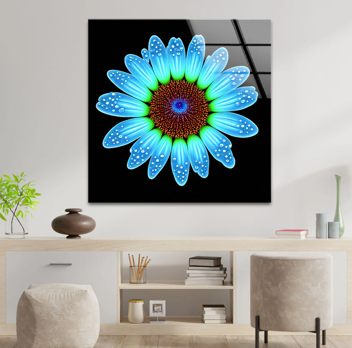 Blue Daisy Flower Wall Art – Luminous Glass Print on Black Background with Water Droplet Detail for Modern Interiors - MyPhotoStation