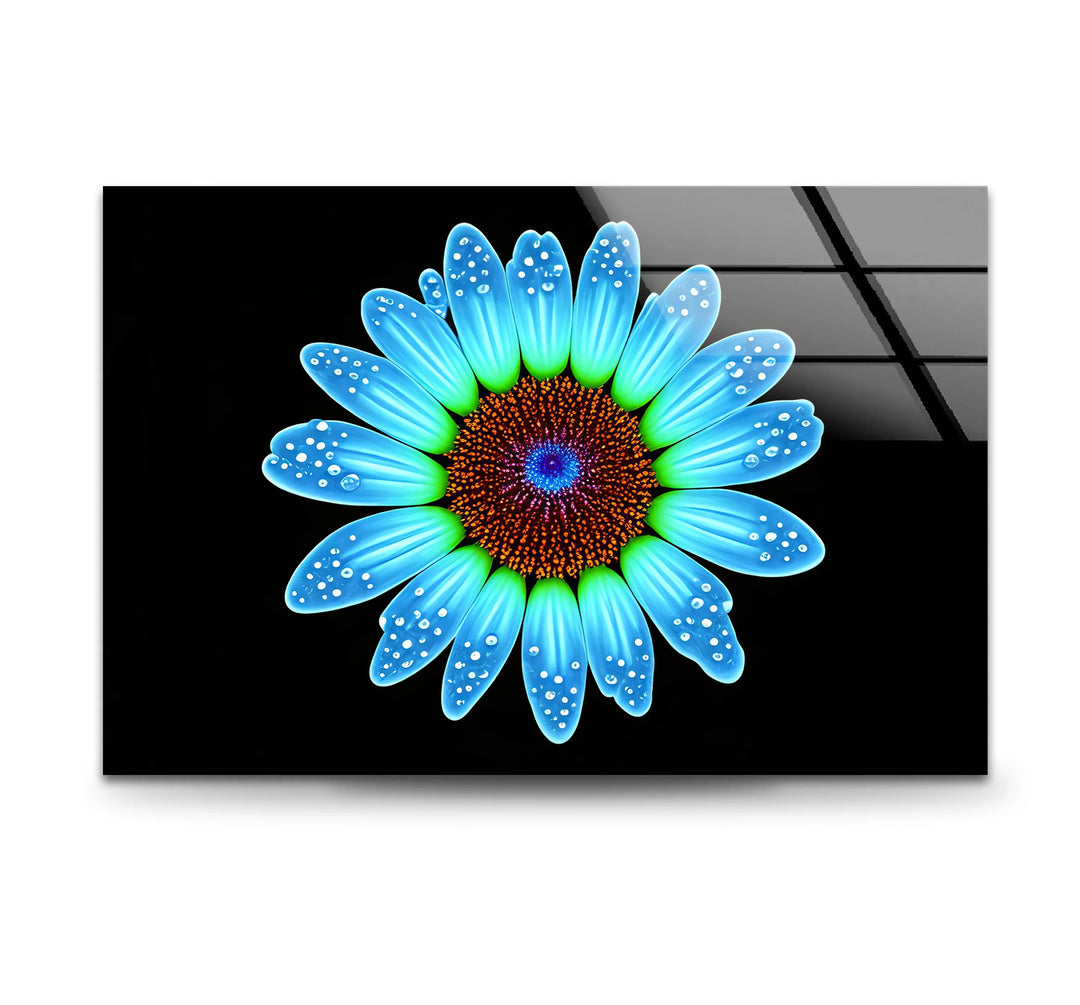 Blue Daisy Flower Wall Art – Luminous Glass Print on Black Background with Water Droplet Detail for Modern Interiors - MyPhotoStation