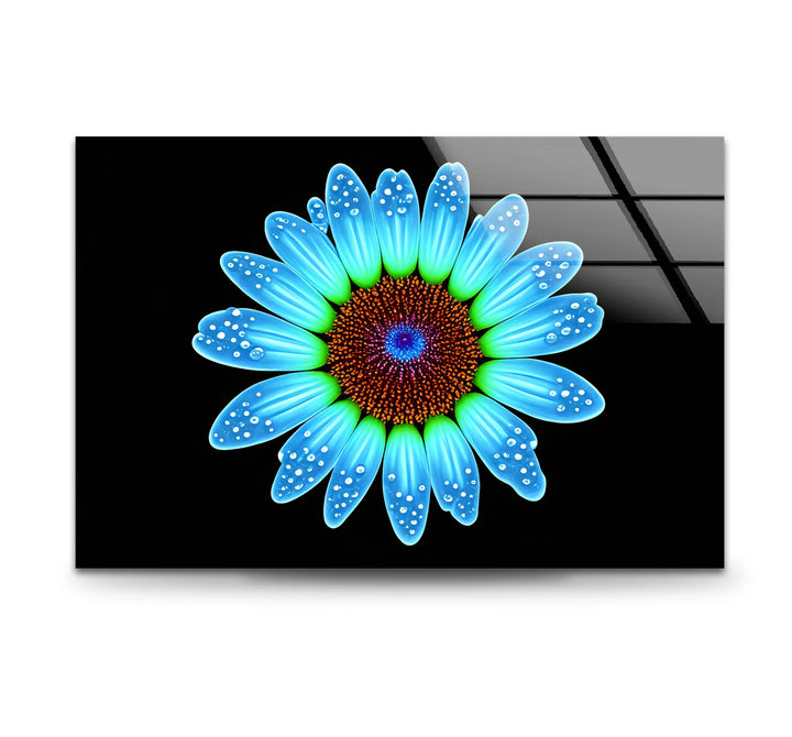 Blue Daisy Flower Wall Art – Luminous Glass Print on Black Background with Water Droplet Detail for Modern Interiors - MyPhotoStation