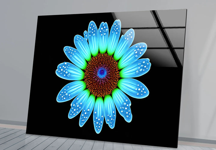 Blue Daisy Flower Wall Art – Luminous Glass Print on Black Background with Water Droplet Detail for Modern Interiors - MyPhotoStation