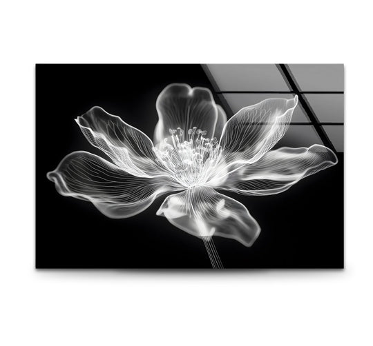 Contrasting with the delicate minimalist flower, the dark, reflective background of this glass wall artwork adds depth and dimension to the black and white art piece.