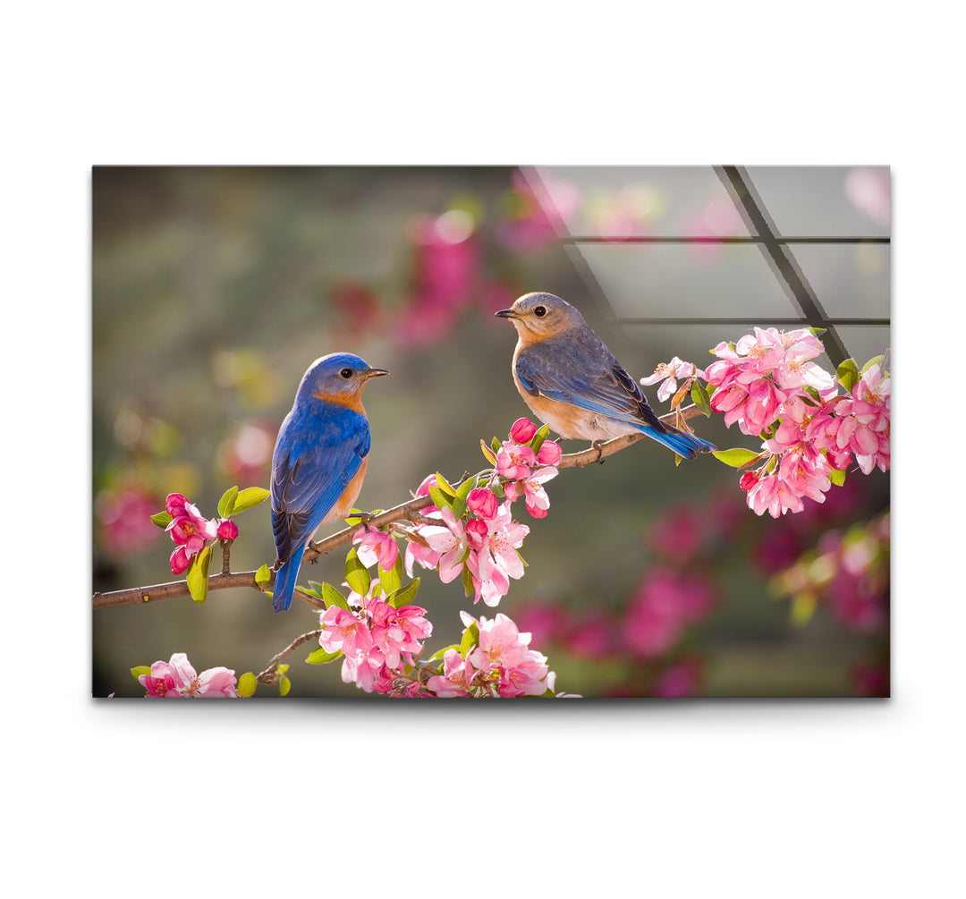 Blaumeisen auf blühendem Baum, Glaswandkunst – Frühlingsnaturszene