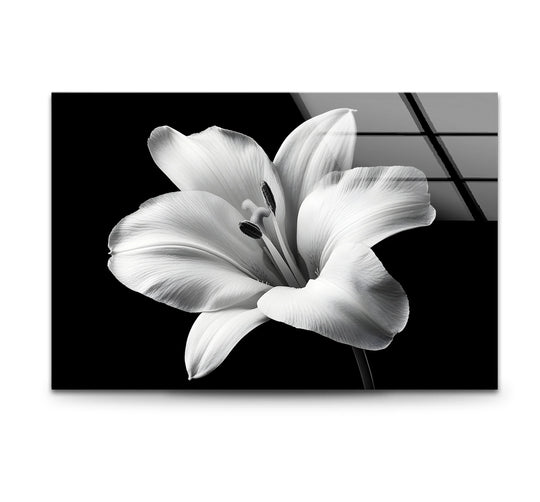 Highlighting the loudest element, the striking lily dominates this black and white flower glass wall art, a unique glass art painting for elegant home decor.