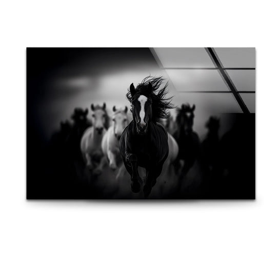 A herd of black and white running horses gallop across this striking hanging wall art with bright highlights on their coats.
