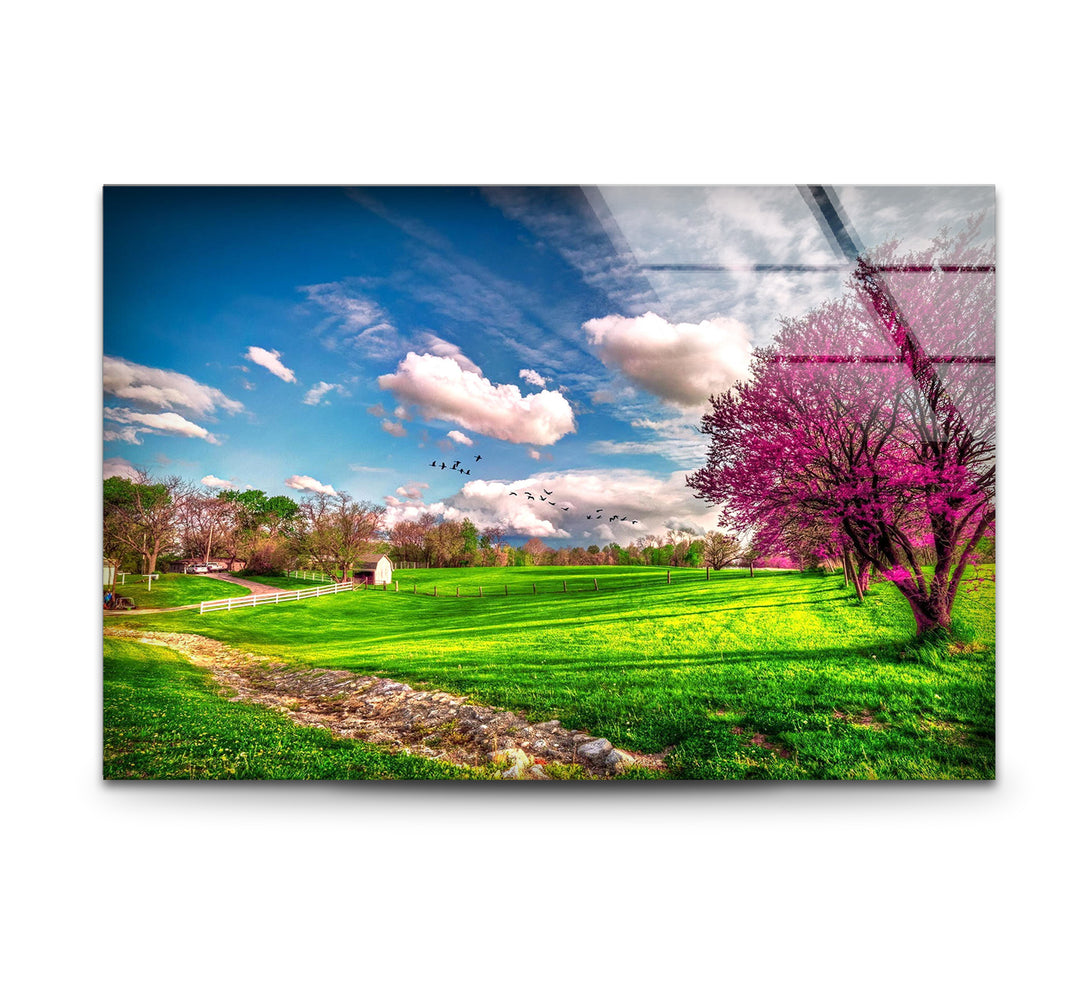 Frühlingswiese Glaswandkunst – Lebendige Landschaft &amp; blühende Bäume