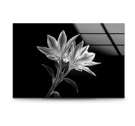 Dominant in black, this decorative wall art features a black and white X-ray lilies glass wall art print, providing a striking contrast.