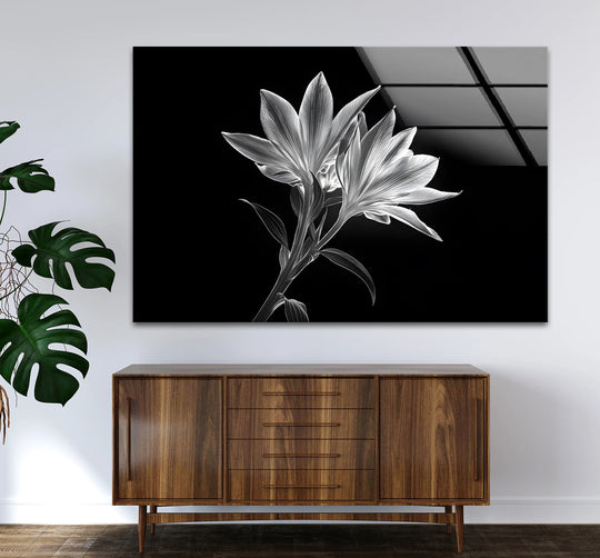 Visual rhythm flows in this black and white X-Ray Lilies glass art, offering a sophisticated pattern through the arrangement of the lily, enhanced by sleek glass art.