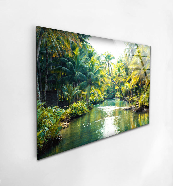 Scenic rainforest waterway bathed in warm sunlight and natural beauty.
