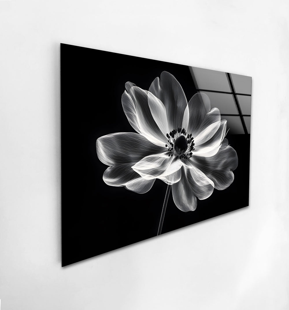 Stunning monochrome flower art on glass, bringing sophistication to any space.
