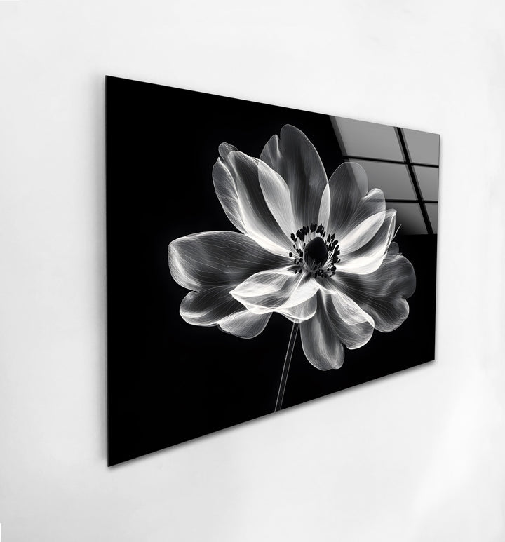 Stunning monochrome flower art on glass, bringing sophistication to any space.
