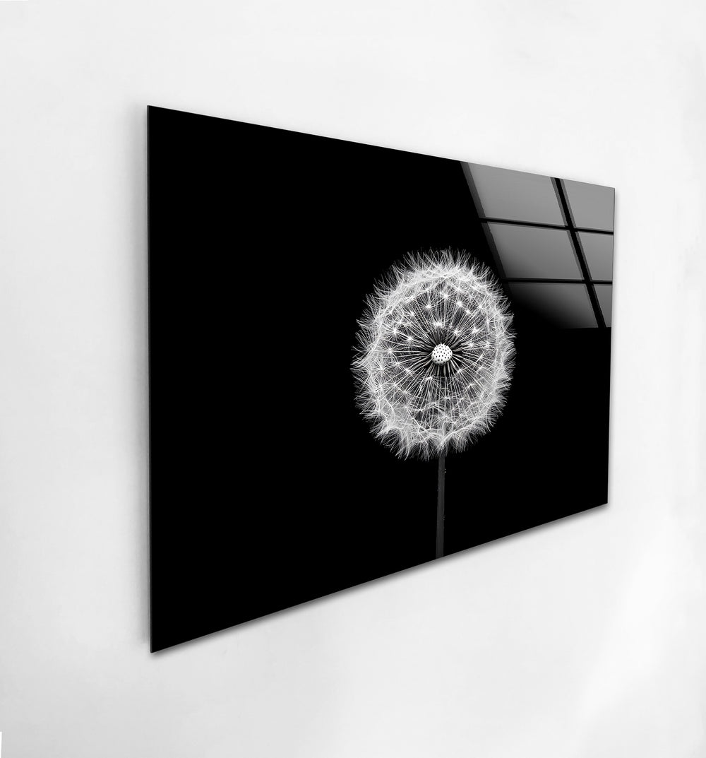 Elegant monochrome floral artwork capturing the intricate details of a dandelion in high definition.