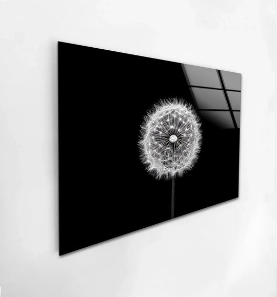 Negative space surrounds a monochrome dandelion in this contemporary glass wall art decor, creating a striking contrast in the 'Dandelion Whisper' piece.