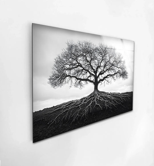Showcasing the reflective finish, this tree of life glass printing captures a monochrome tree with roots in exquisite detail as unique black and white glass wall art.