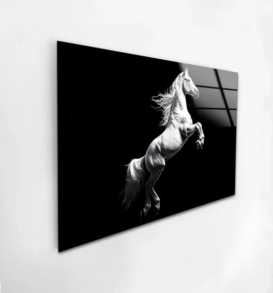 Majestic white horse glass wall art showcases dramatic color contrast with a white horse against a black background, perfect home decor.