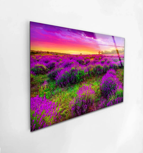 Movement radiates from this glass printing of a lavender field glass wall art, its vibrant sunset creating an animated floral landscape.