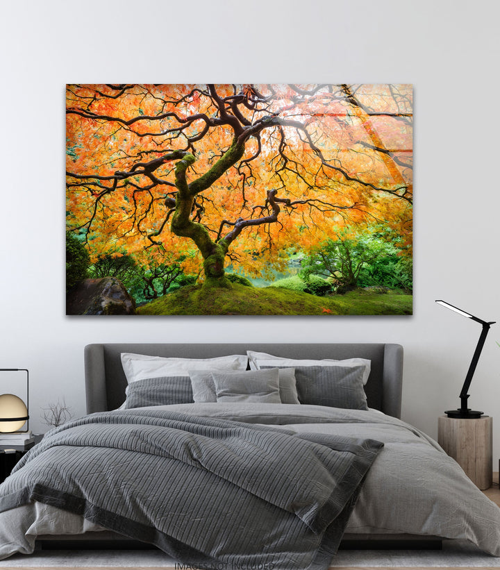 Golden Canopy Elegance – Japanische Ahorn-Glaswandkunst