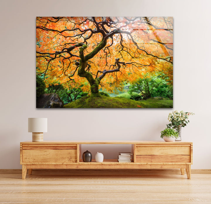 Golden Canopy Elegance – Japanische Ahorn-Glaswandkunst