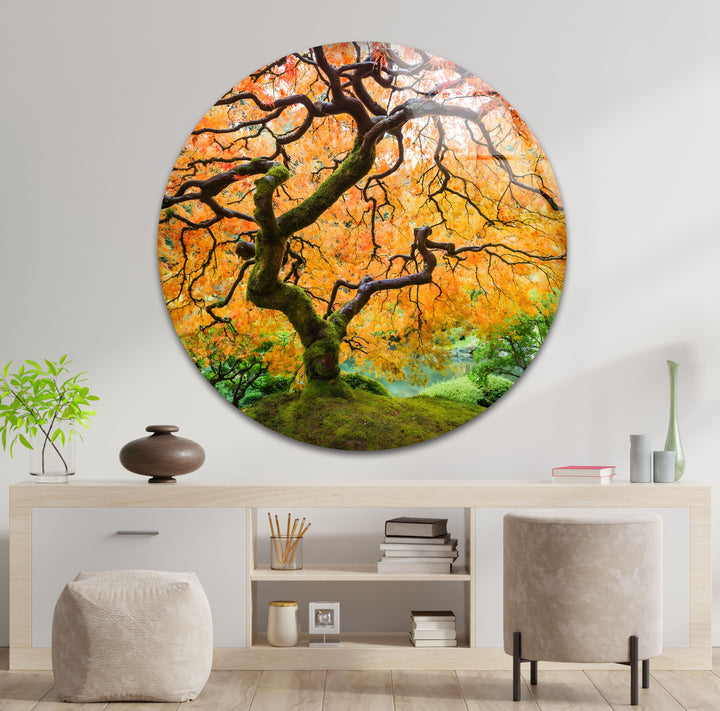 Golden Canopy Elegance – Japanische Ahorn-Glaswandkunst