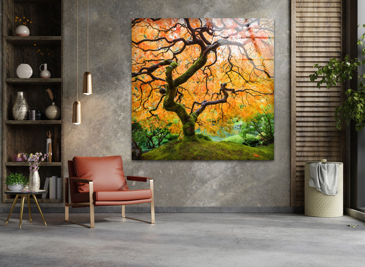 Golden Canopy Elegance – Japanische Ahorn-Glaswandkunst