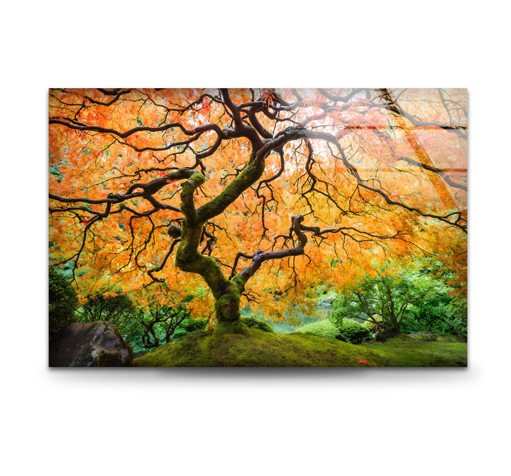 Golden Canopy Elegance – Japanische Ahorn-Glaswandkunst
