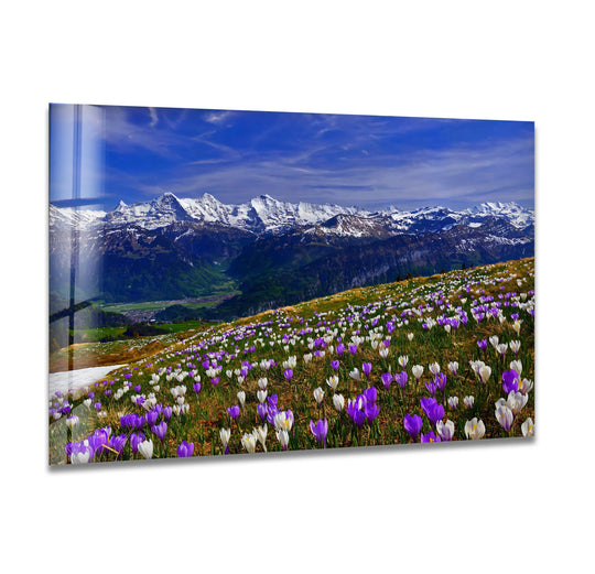 Vibrant alpine meadow is the central subject of this glass wall art, a stunning mountain landscape teeming with blooming wildflowers, perfect as breathtaking wall prints.