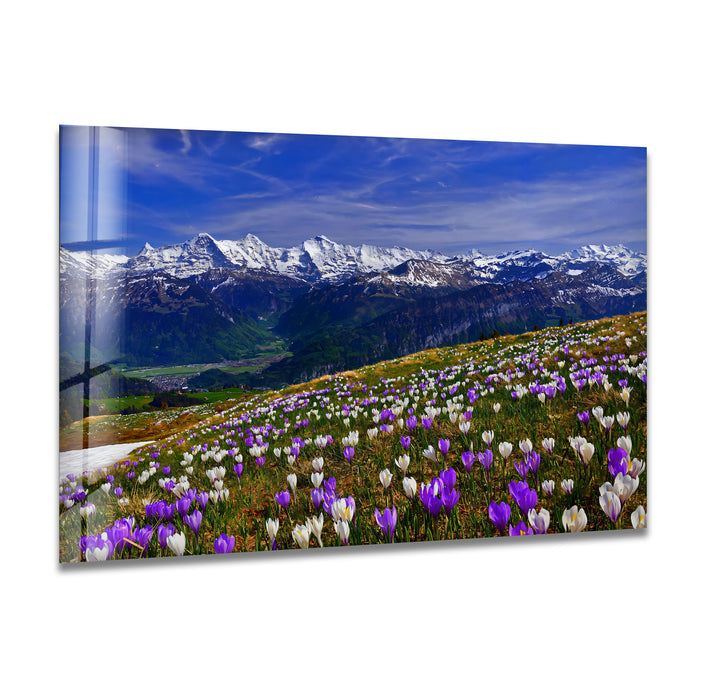 Alpine Meadow Glass Wall Art – Majestic Mountain & Blooming Wildflower Landscape