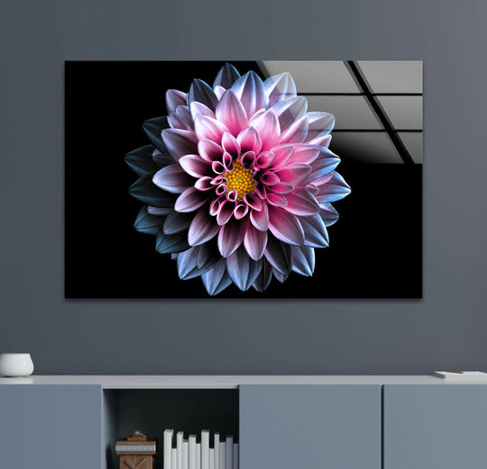 A stunning close-up of a pink and purple dahlia with a yellow center is featured on black tempered glass wall art.