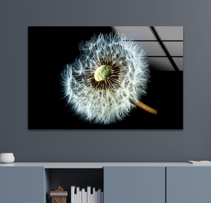 Dandelion Seeds Closeup Glass Wall Art, glass image printing, glass prints from photos
