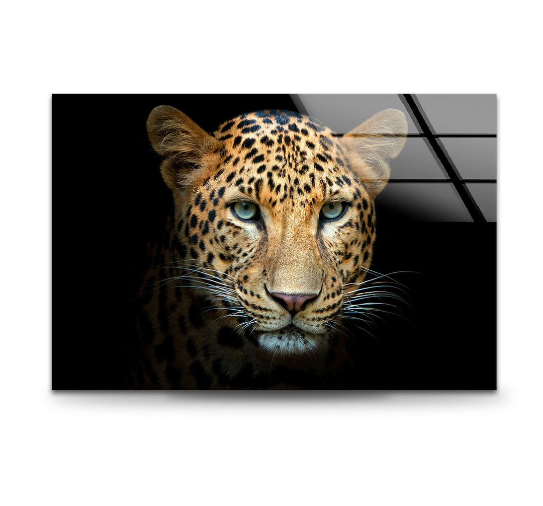 Leopard Portrait Glass Wall Art glass pictures for Wall, glass prints wall art