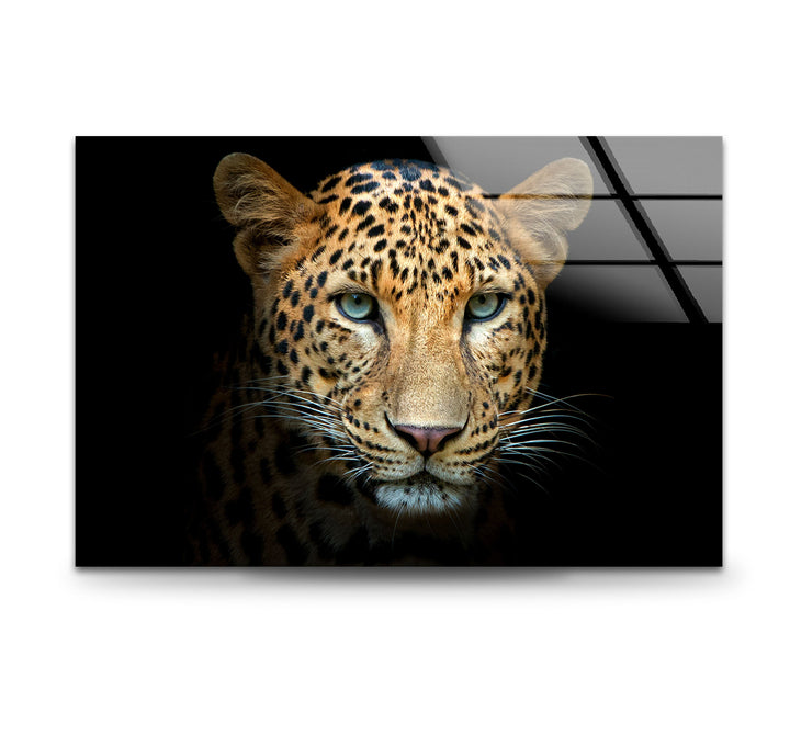Leopard Portrait Glass Wall Art glass pictures for Wall, glass prints wall art