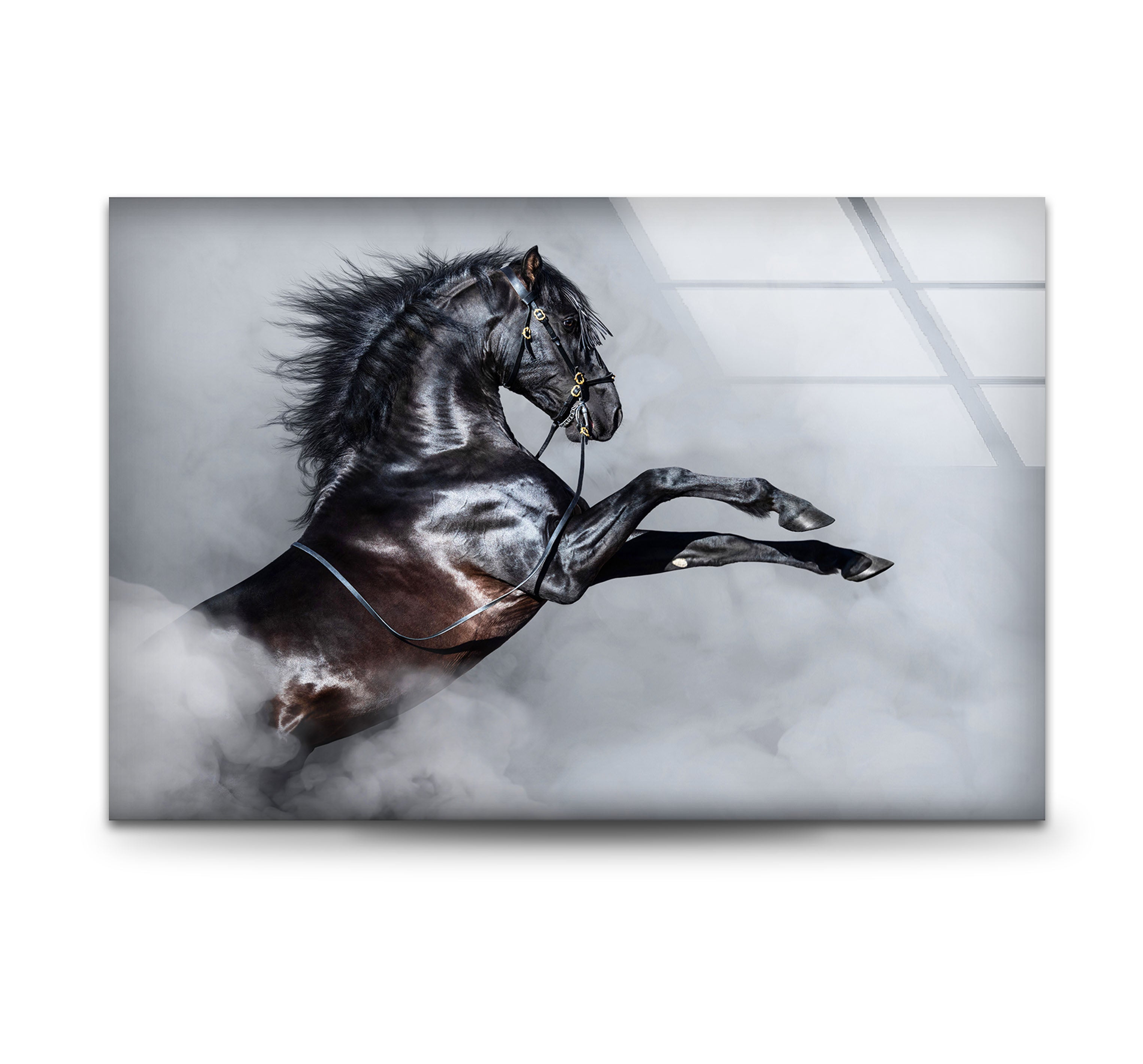 Horse Tempered Glass Wall Art