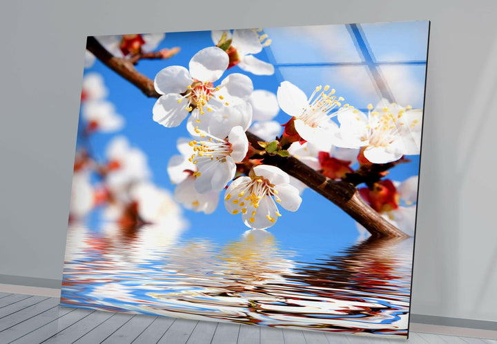 Cherry Tree Branch In Bloom Glass Wall Art, large glass photo prints, glass wall photos
