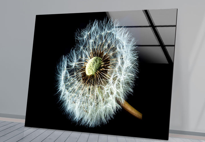 Dandelion Seeds Closeup Glass Wall Art, glass pictures for Wall, glass prints wall art