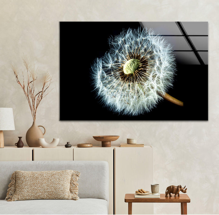 Dandelion Seeds Closeup Glass Wall Art, Glass Printing Wall Art, Print photos on glass