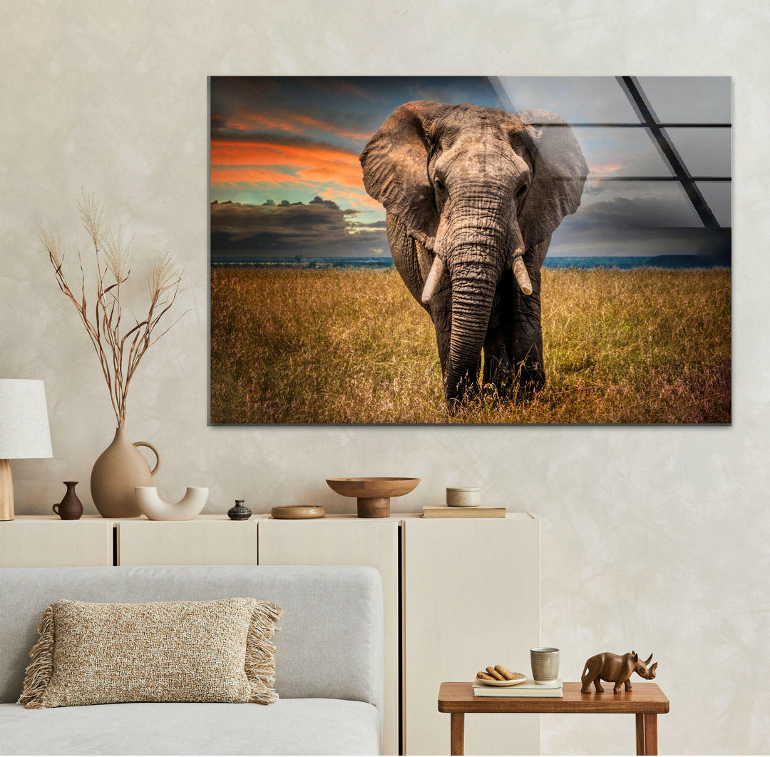 Majestic Elephant Glass Wall Art custom glass pictures, glass art prints